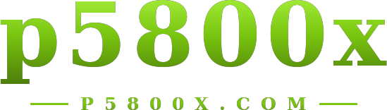 p5800x logo